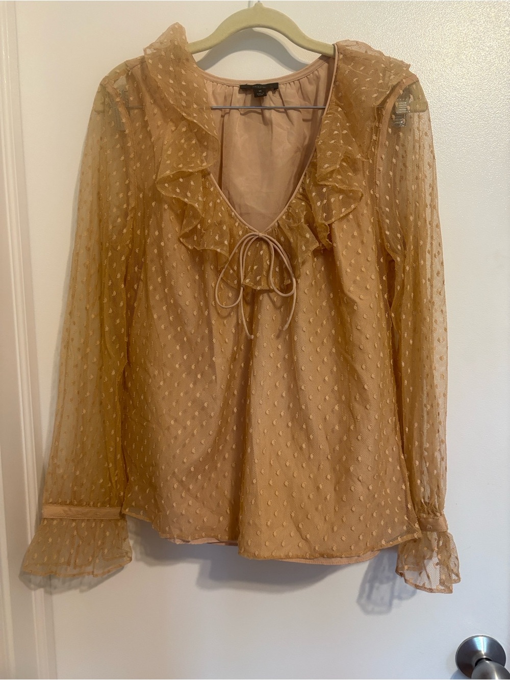 J. Crew Sheer Ruffle Tie-Neck Blouse - Tan